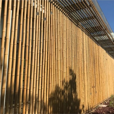 18mm إلى 160mm قطر الخيزران القصى الموسو قطب الخيزران البناء الزراعة