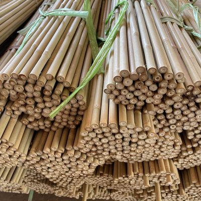 حصص دعم نبات الخيزران الطبيعي للنباتات الداخلية ، عصي الخيزران أعمدة حديقة الخيزران حصة 40 سم 595 سم