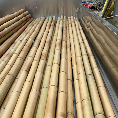 18mm إلى 160mm قطر الخيزران القصى الموسو قطب الخيزران البناء الزراعة