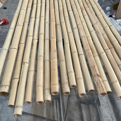 18mm إلى 160mm قطر الخيزران القصى الموسو قطب الخيزران البناء الزراعة
