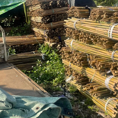 18mm إلى 160mm قطر الخيزران القصى الموسو قطب الخيزران البناء الزراعة